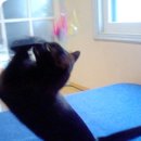 고다상사 이미지