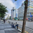 중앙로가로수 이미지