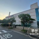 명지레포츠센터 | 9개월 동안의 명지레포츠센터 지역할인 수영레슨 내돈내산 후기