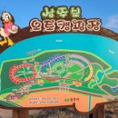 금오산 오토캠핑장 이미지