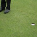 낙동강변 축구장 2 이미지