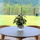 도평리도토리네 이미지