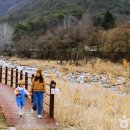 선암골생태유람길 이미지