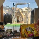 포레스트가든 이미지