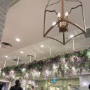 리미니 뉴코아일산점 | 일산 뉴코아 리미니 방문 후기