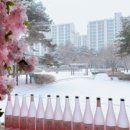 시즈미교토