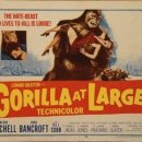 1954 고릴라 앳 라지Gorilla at Large 이미지