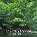 산머루 민박 이미지