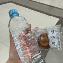 인학 | 26년 2월 1주 차
