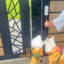 위드제이 이미지