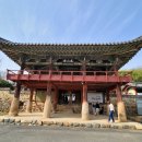 매화칼국수 이미지