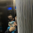 케빈오토 | 하이브리드 사이러스2 오토폴딩 유모차 괘만족