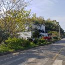 섬나라하얀집 이미지