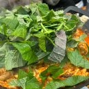 라고1618 이미지