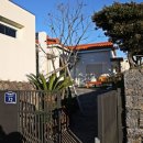 제주클래식위미 이미지