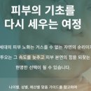 리투오 스킨부스터, 제2의 PDRN?? (정의 및 엘앤씨바이오 주가정보공유)