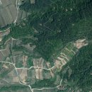 곡성-221 이미지