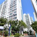 세림 티스토리