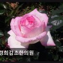 경희감초한의원 네이버블로그