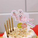 강아지오요요 이미지