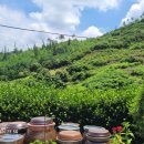 문광축사 이미지