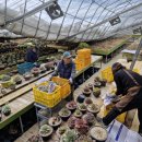 박용주농장 이미지