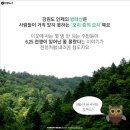 (주)아침가리