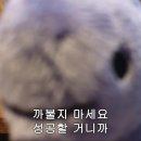 날아라 햄찌 | 매일 마주한 의문을 견뎌나가며