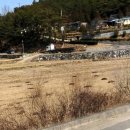 진교면사무소 이미지