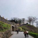 공주산림휴양마을 | [캠핑 01] 공주 산림휴양마을 야영장 후기