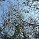 남산 산책로 이미지