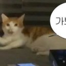 에이치골프아카데미 - 세종특별자치시 나성북로 9 | 에이치골프아카데미