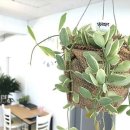 메디스포유 이미지