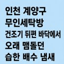 무인36 | 인천 계양구 무인세탁방 건조기 뒤편 바닥에서 오래 맴돌던 습한 배수 냄새 원인 확인한 늦은 밤