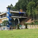 도그샤워 이미지