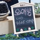 구수 염소농장 이미지