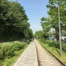 경춘선숲길 이미지