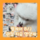 Dr.j 동물병원 | 13살 노령견의 관절 케어 비법 공개! '웰케어 B/J 강아지관절영양제' 급여 후기