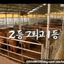 원식목장 이미지