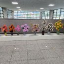 전통생활지화전승보존회