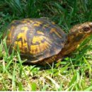 유리테크 이미지