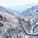 "등산 안 해도 해발 1000m 설경이 눈앞에"… 국내 최고라 불리는 겨울 드라이브 코스 이미지