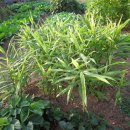 승표네농장 이미지