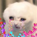 순이네반찬 이미지