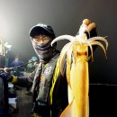 루어낚시닷컴 이미지