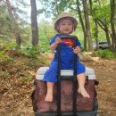 포천여행 1박2일_ 아쿠아마린글램핑&amp;포천아트밸리&amp;신읍오일장 후기