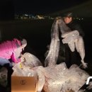 인천광역시 강화군 인천광역시 강화군 양사면사무소 이미지