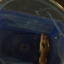 뚜루실내낚시놀이터 이미지