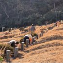 영락공원 이미지