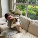 베럴독 | 후기]콩시기를 만난 순간🐶/분양받지 말고 입양하세요🙏/강아지 분리불안교육/베럴독 강아지 방문훈련 후기